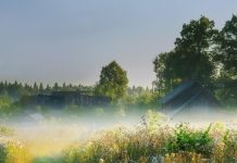 Сценарий торжественной линейки ко Дню Конституции Республики Беларусь «Мы – граждане Республики Беларусь»