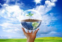 Формирование экологической грамотности у воспитанников старшего дошкольного возраста посредством их участия в природоохранных акциях