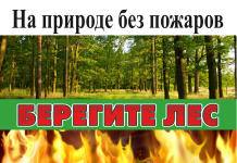 Урок по основам безопасности жизнедеятельности по теме «На природе без пожаров» (4 класс)