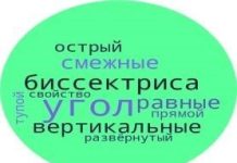 Урок геометрии по теме «Угол. Виды углов. Смежные углы. Вертикальные углы» (7 класс)