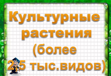 Урок биологии по теме «Культурные растения» (7 класс)