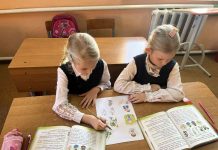 «Лекарственные растения Беларуси»: занятие по учебному предмету «Человек и мир» (2 класс)