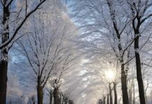 Урок русского языка по теме «Обучающее сочинениепо картине С. Жуковского «Иней» (с использованием возможностей искусственного интеллекта, 5 класс)