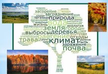 Классный час «По страницам экологии» (7 класс)