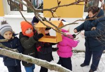 Познавательное путешествие «Трудно птицам зимовать – нужно птицам помогать» (1–2 классы)