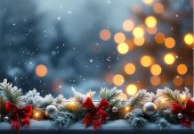 Рождественская встреча «Свет Рождества: традиции, ценности, диалог поколений» (10-11 класс)